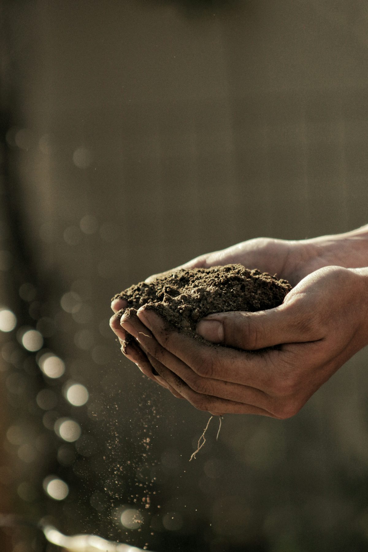 Notes on Inequality#7. A Small Piece of Land Can Change a Family’s Destiny.